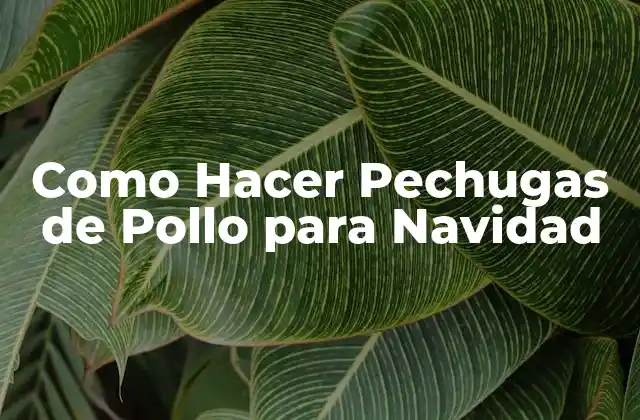 Como Hacer Pechugas de Pollo para Navidad 2 ¿Qué son las Pechugas de Pollo para Navidad?