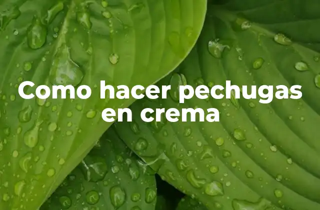 Como Hacer Pechugas en Crema