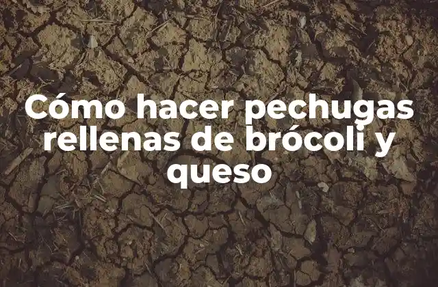 Cómo Hacer Pechugas Rellenas de Brócoli y Queso