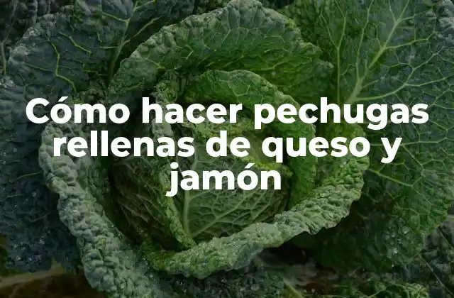 Cómo Hacer Pechugas Rellenas de Queso y Jamón
