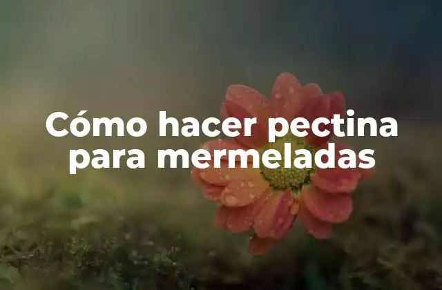 Cómo Hacer Pectina para Mermeladas