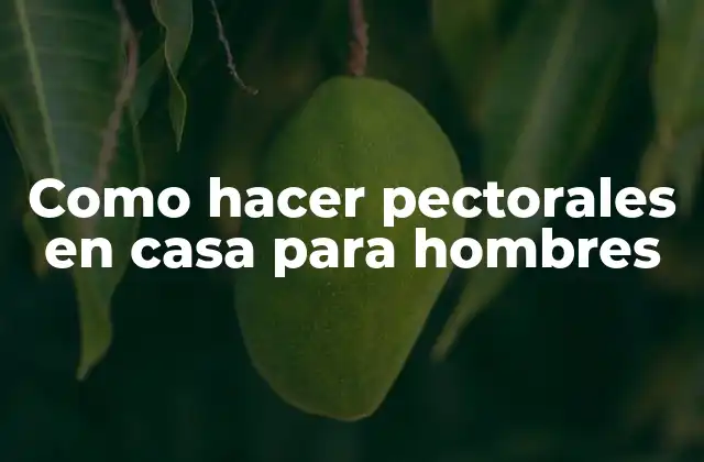 Como Hacer Pectorales en Casa para Hombres