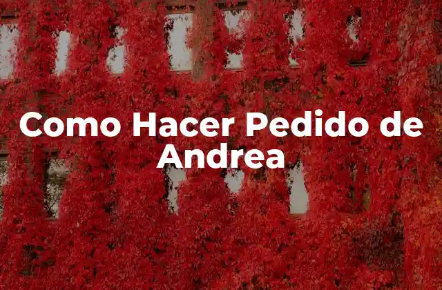 ¿Qué es un Pedido de Andrea?