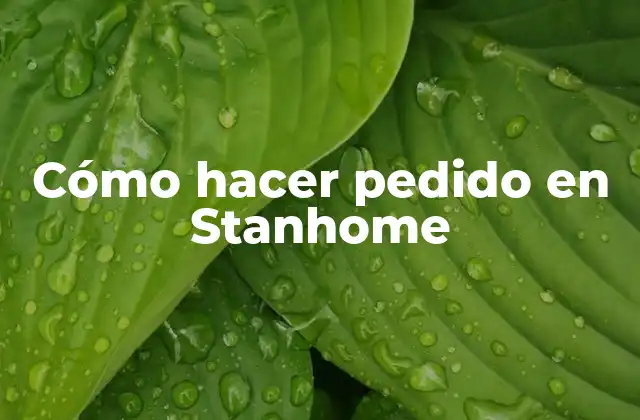 Cómo Hacer Pedido en Stanhome