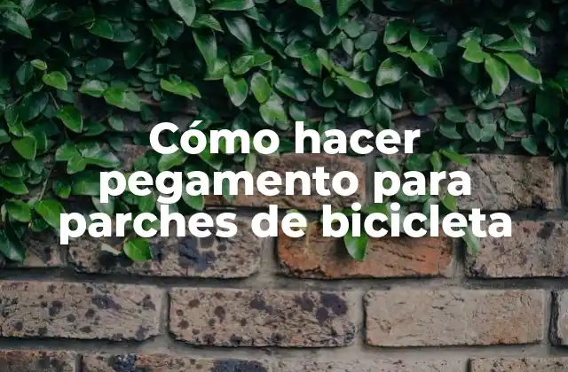 Cómo Hacer Pegamento para Parches de Bicicleta