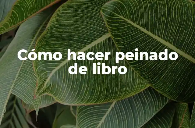 Cómo Hacer Peinado de Libro