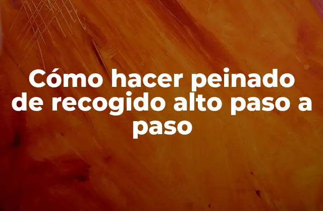 Cómo Hacer Peinado de Recogido Alto Paso a Paso