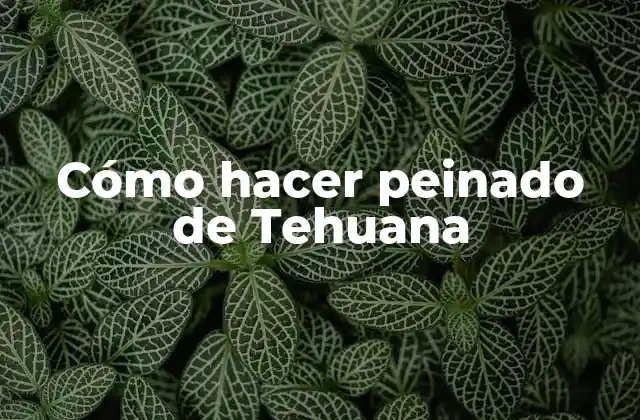 Cómo Hacer Peinado de Tehuana 2 ¿Qué es un peinado de Tehuana?
