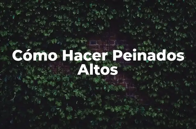 Cómo Hacer Peinados Altos