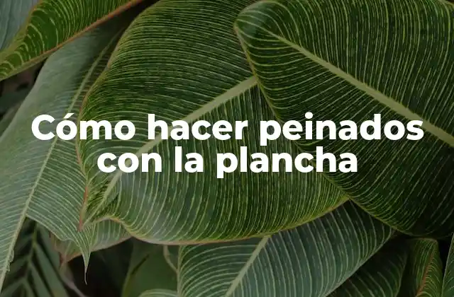 Cómo Hacer Peinados con la Plancha