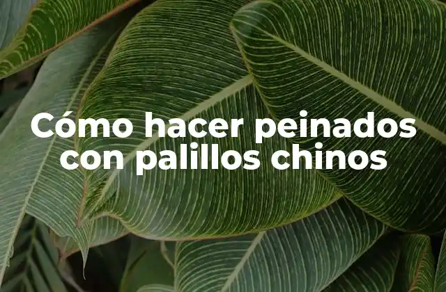 Cómo Hacer Peinados con Palillos Chinos