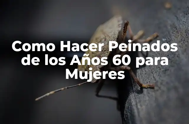 Como Hacer Peinados de los Años 60 para Mujeres