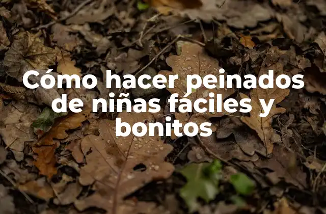 Cómo Hacer Peinados de Niñas Fáciles y Bonitos