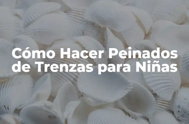 Cómo Hacer Peinados de Trenzas para Niñas
