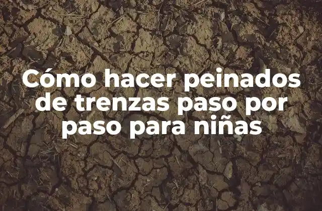 Cómo Hacer Peinados de Trenzas Paso por Paso para Niñas