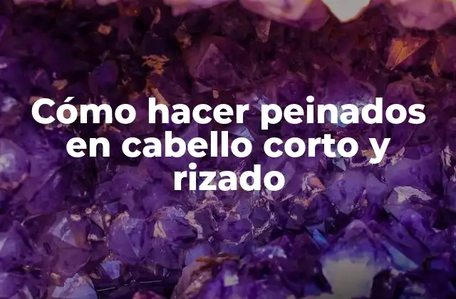 Cómo Hacer Peinados en Cabello Corto y Rizado