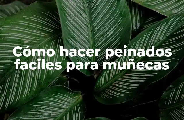 Cómo Hacer Peinados Faciles para Muñecas