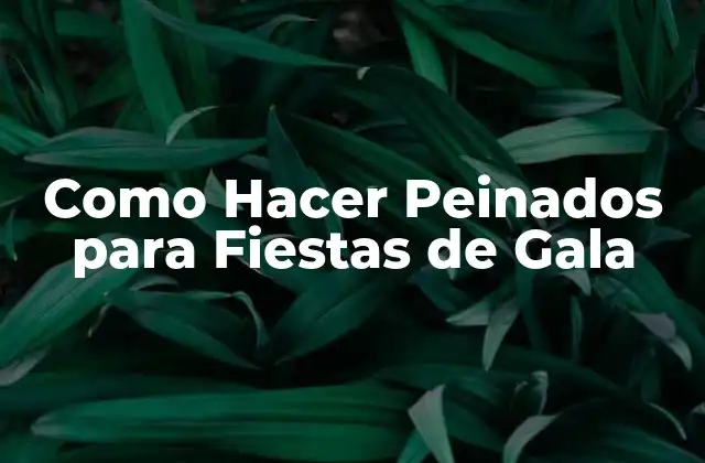 Como Hacer Peinados para Fiestas de Gala