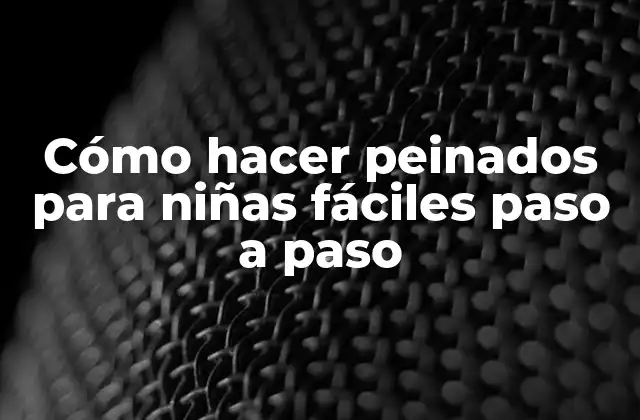 Cómo Hacer Peinados para Niñas Fáciles Paso a Paso