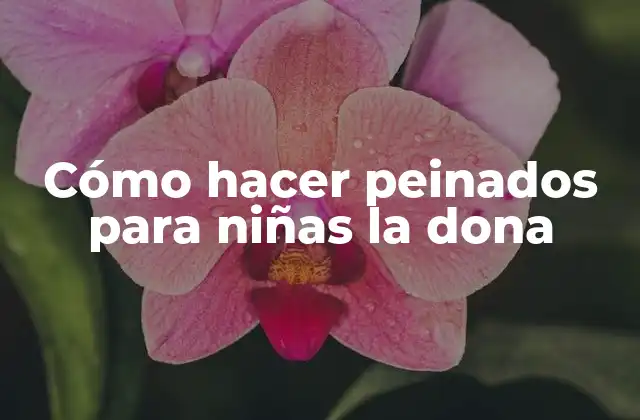 Cómo Hacer Peinados para Niñas la Dona