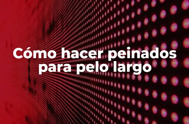 Cómo Hacer Peinados para Pelo Largo