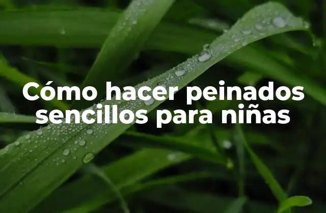 Cómo Hacer Peinados Sencillos para Niñas