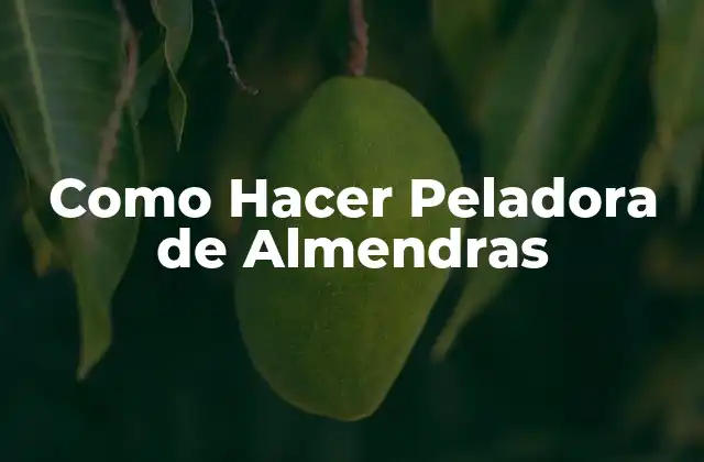 Como Hacer Peladora de Almendras