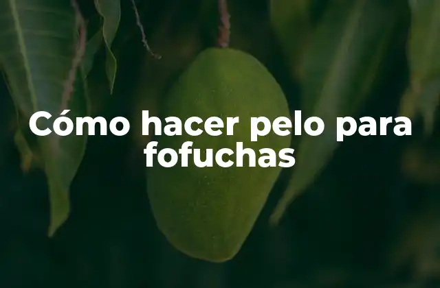 Cómo Hacer Pelo para Fofuchas