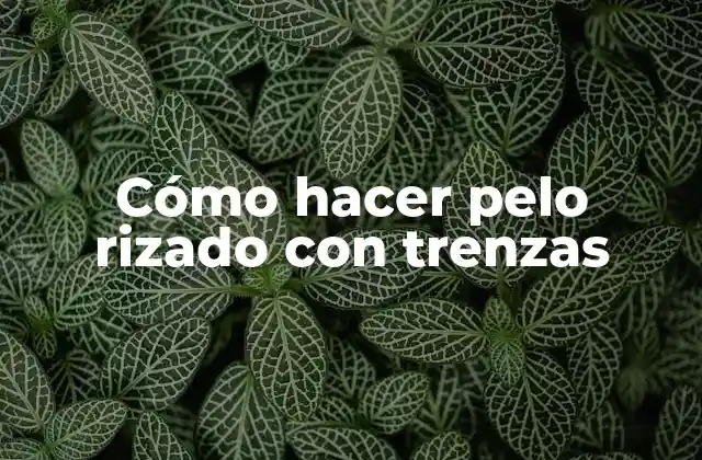 Cómo Hacer Pelo Rizado con Trenzas