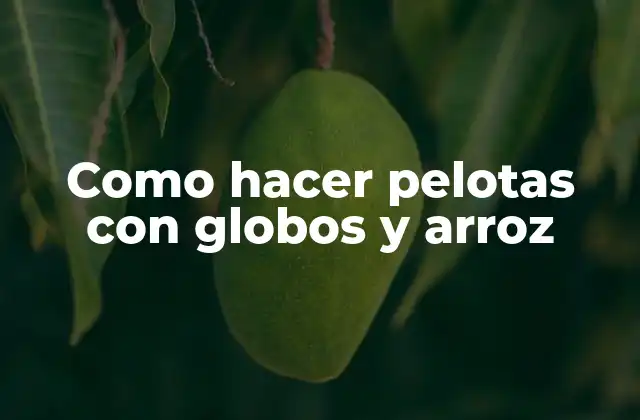 Como Hacer Pelotas con Globos y Arroz