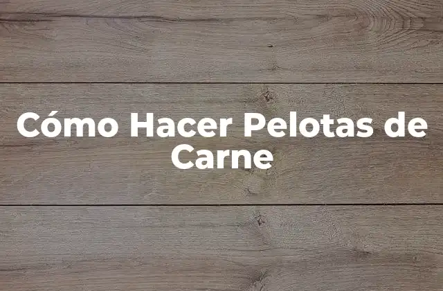 Cómo Hacer Pelotas de Carne 2 ¿Qué son las Pelotas de Carne?