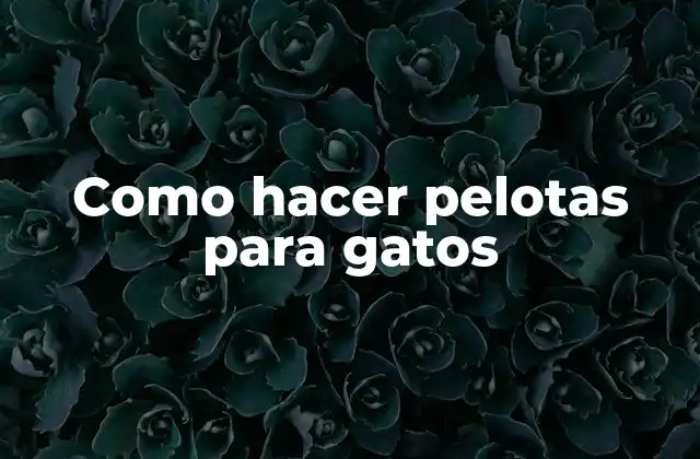 Como Hacer Pelotas para Gatos