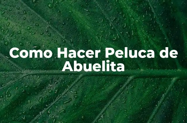 Como Hacer Peluca de Abuelita