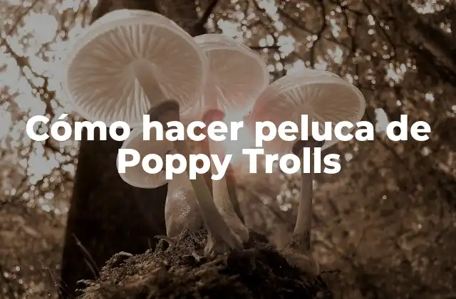 Cómo Hacer Peluca de Poppy Trolls