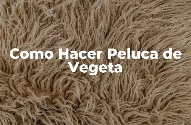 Como Hacer Peluca de Vegeta