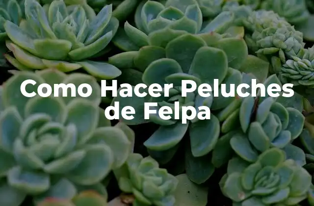 Como Hacer Peluches de Felpa