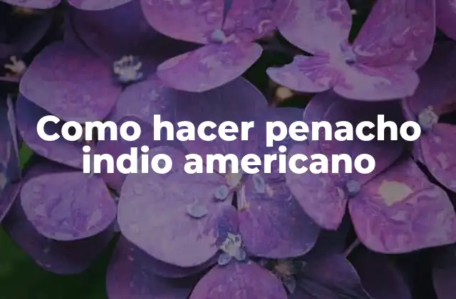 ¿Qué es un penacho indio americano?