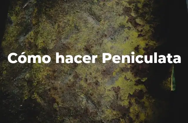 Cómo Hacer Peniculata