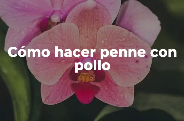 Cómo Hacer Penne con Pollo