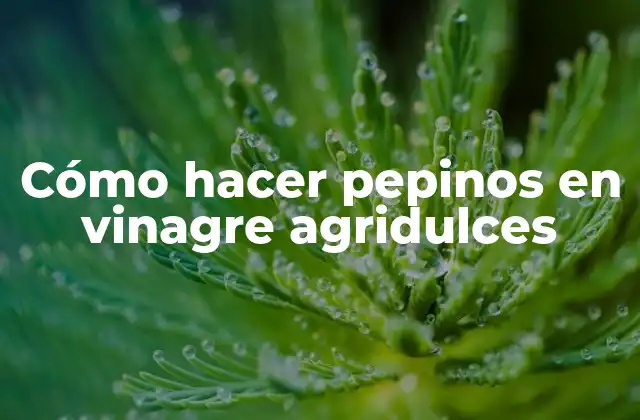 Cómo Hacer Pepinos en Vinagre Agridulces