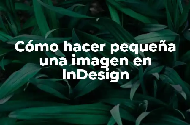 Cómo Hacer Pequeña una Imagen en Indesign