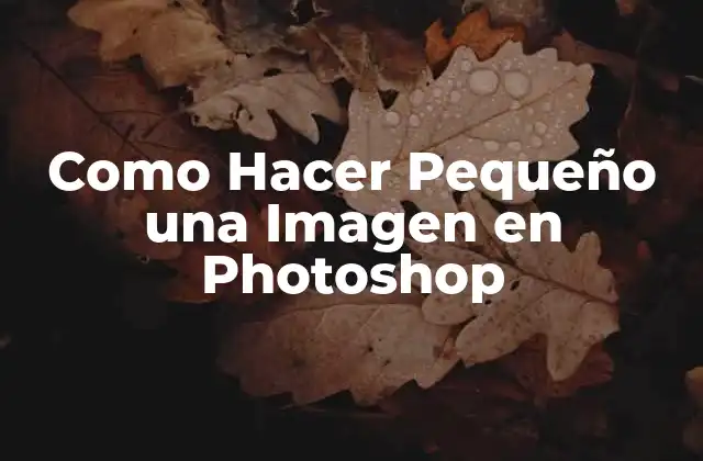 Como Hacer Pequeño una Imagen en Photoshop