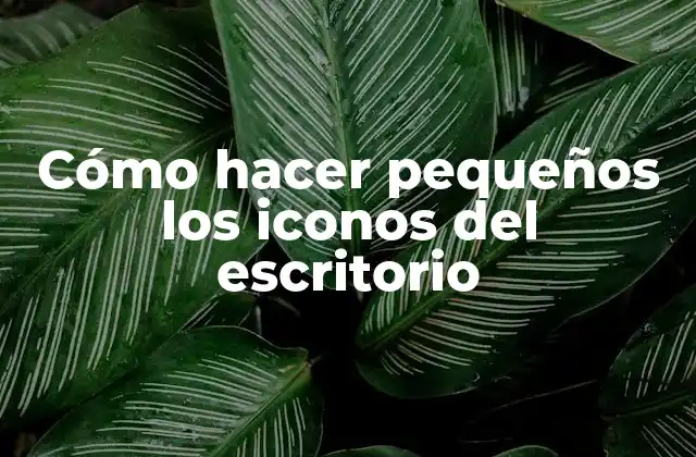Cómo Hacer Pequeños los Iconos Del Escritorio