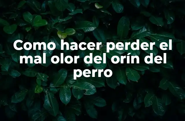 Como Hacer Perder el Mal Olor Del Orín Del Perro