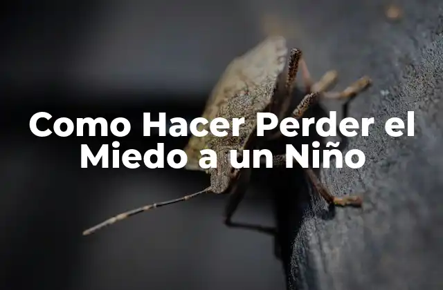Como Hacer Perder el Miedo a un Niño