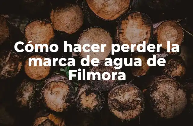 Cómo Hacer Perder la Marca de Agua de Filmora 2 ¿Qué es la marca de agua de Filmora y para qué sirve?