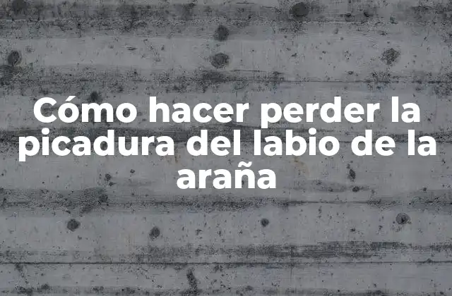 Cómo Hacer Perder la Picadura Del Labio de la Araña