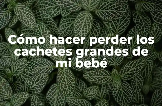 Cómo Hacer Perder los Cachetes Grandes de Mi Bebé 2 ¿Qué son los cachetes grandes en los bebés y cómo afectan su salud?