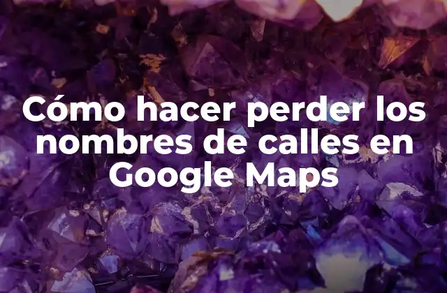 Cómo Hacer Perder los Nombres de Calles en Google Maps
