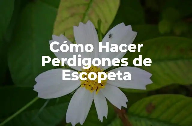 Cómo Hacer Perdigones de Escopeta